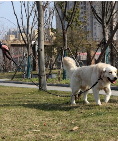 7234b659c00fa78e4545f5687039289b