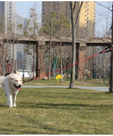 bdd87fdec489985e54d4c7510512c581