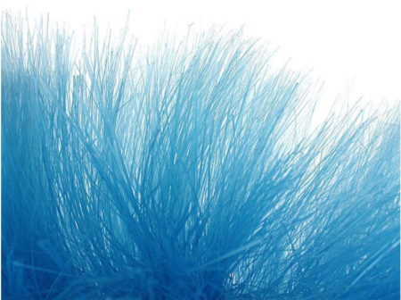 8f841f490b47a35d849fec90bcf5b283