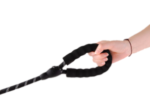 628559adc8983e33fdb601fb190eb256