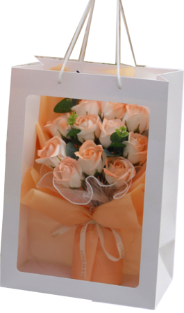 520b8626c3c58d71908d272ba7658737