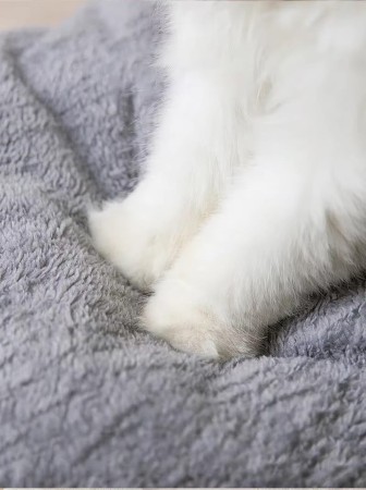 066a142687328f2170ac199922f37a9b