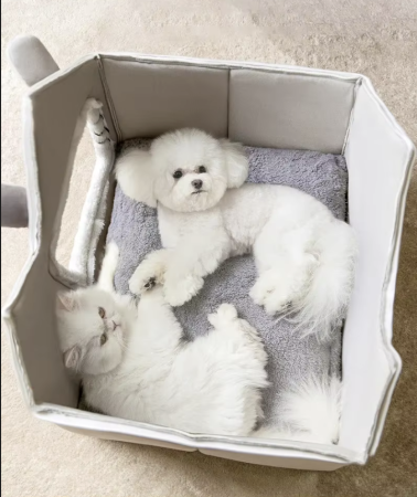 ecf9b020a302a950fc2aa630a8ed7581