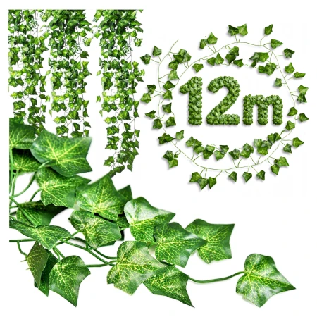 Bluszcz 12m miniatura1.jpg