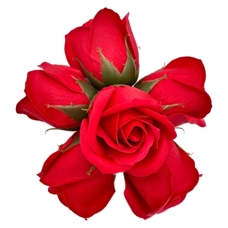 FlowerBox WhiteElegance Red OKAZEO6.jpeg