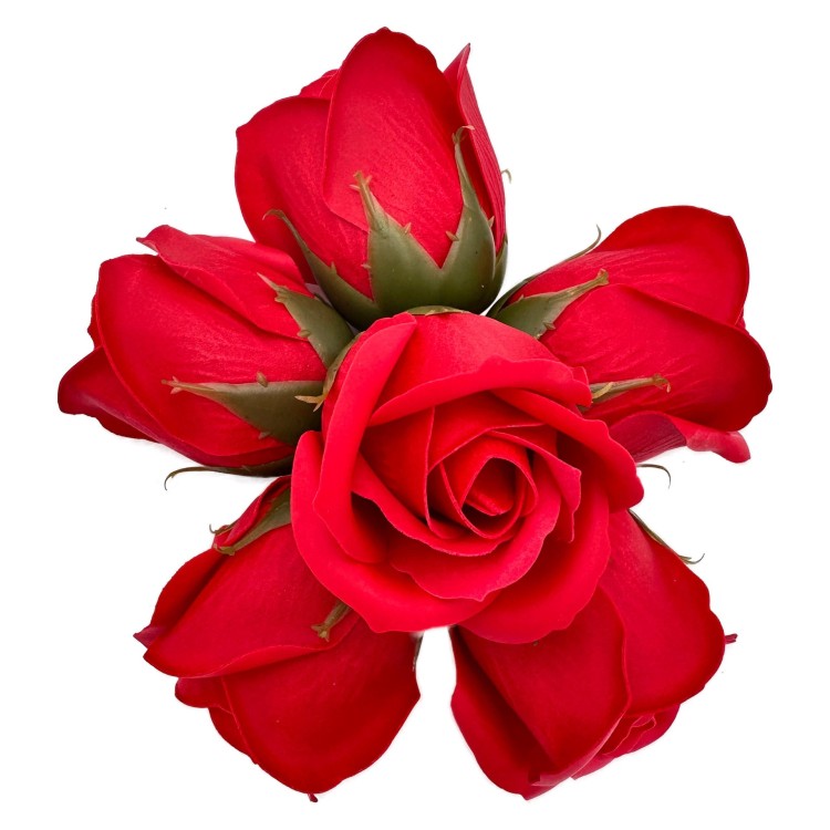 FlowerBox WhiteElegance Red OKAZEO6.jpeg
