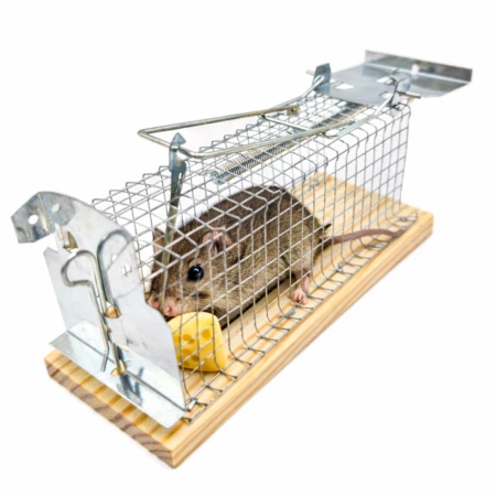 Pułapka na myszy gryzonie Okazeo8.jpg