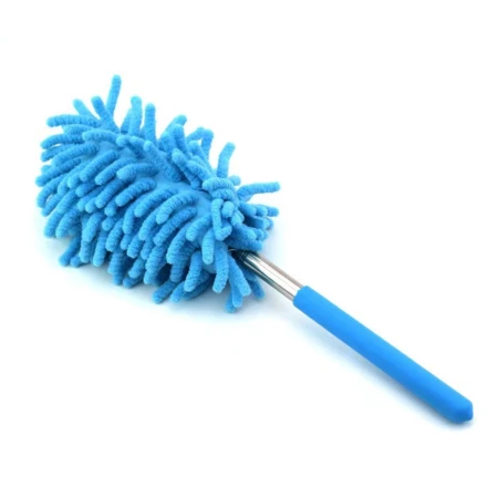 Miotełka zmiotka 6.jpg