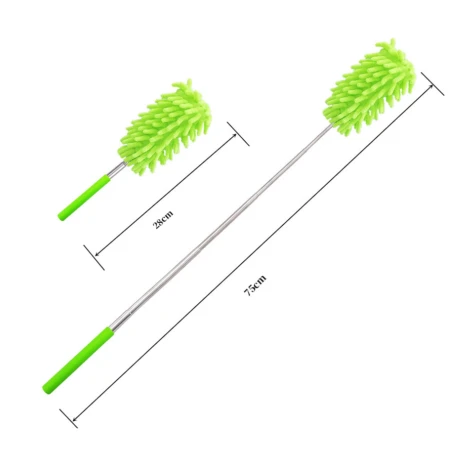 Miotełka zmiotka 7.jpg