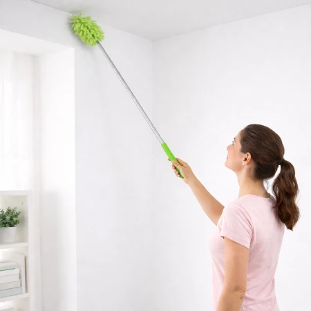 Miotełka zmiotka 10.jpg