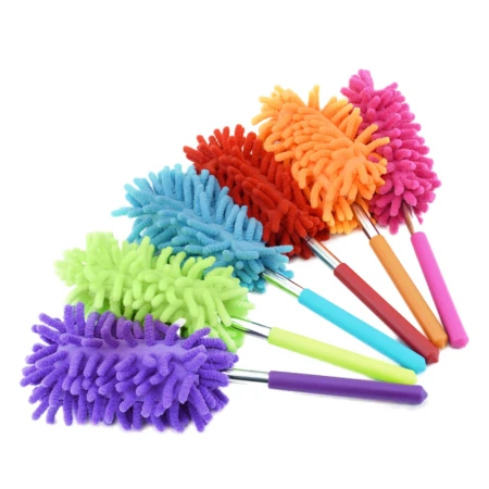 Miotełka zmiotka 11.jpg