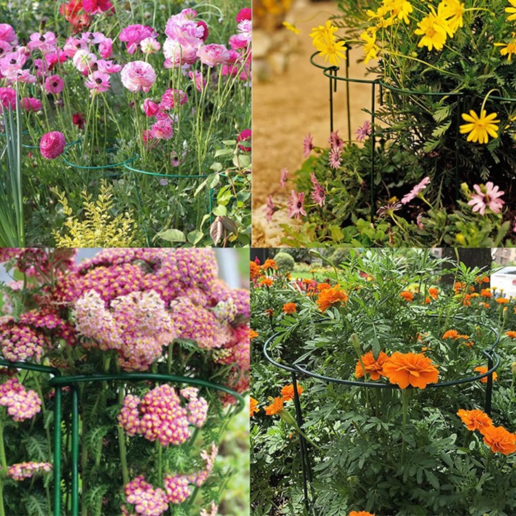 Flower10.jpg