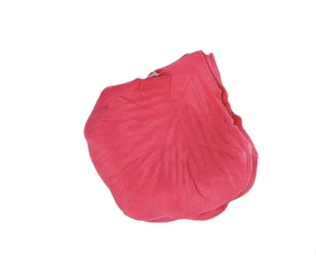 płatki róż 5X 1007.jpeg