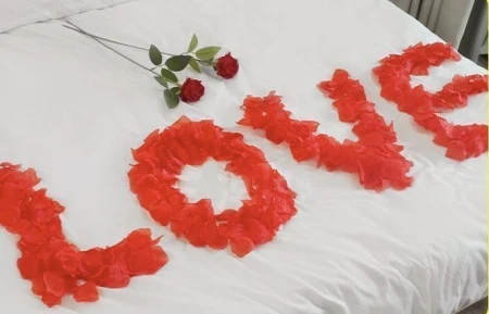 płatki róż 10x 1003.jpeg