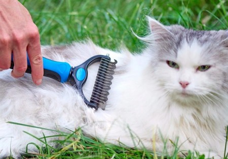 7fa80ad742e39573419157650f855da5