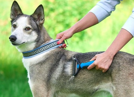 f3b675a7fc5929f08ad6b44c8d815c89