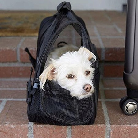 e36a7ecfe75e7ab1cfad72a50aab153a