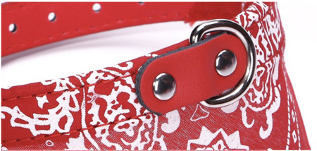 daebf191e86ee28f60783b7e47257c77