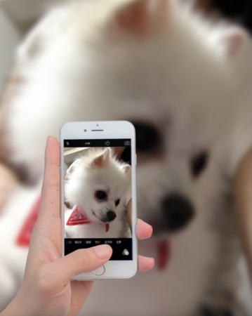 b7914898dd531bb40099e662b248786b