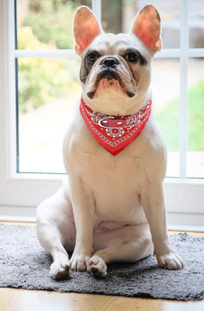 f8423040743743fff68b30f48bc8f858