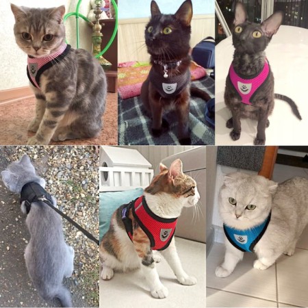 68561bd22053da150b0d7b04141a42c6