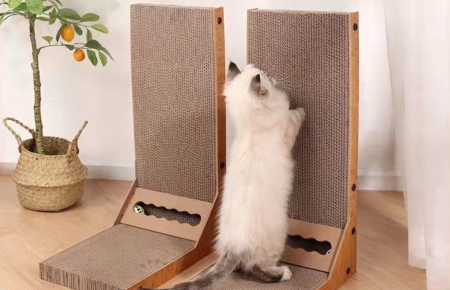 6750d6189ccf26a44d9c729a7fb67396