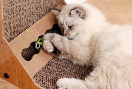 14bd658e0cef25f95168b58f8b3d9c9b