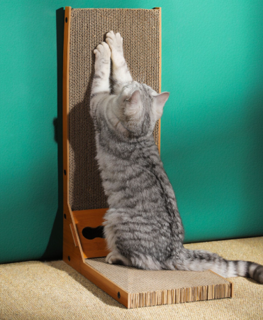 c07fe238c6734f2479a60a23306897f8