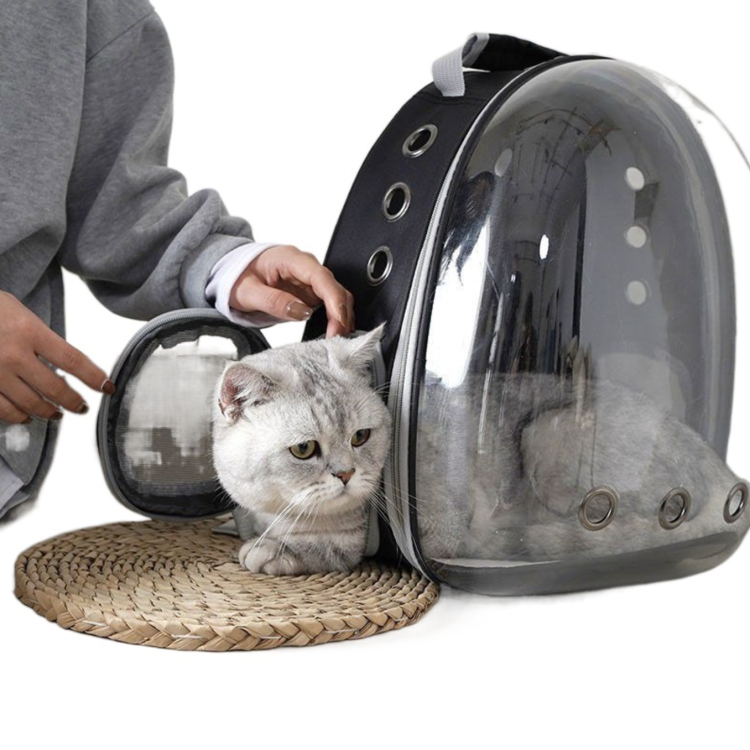 022197f7764fcb386b1d6d4cdea267e6