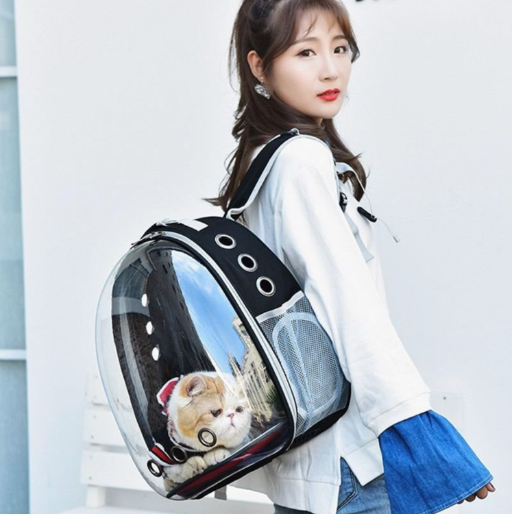 c281b156fff3341fcd1e91e1909ddc26