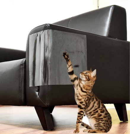 48a32ea8b34c436748628cb67cce9e9e