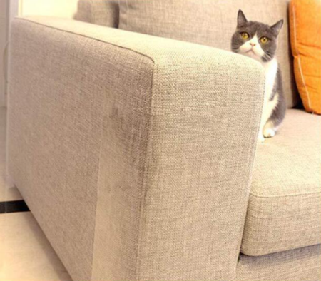 996e205f994d32fc17e63d2073090116