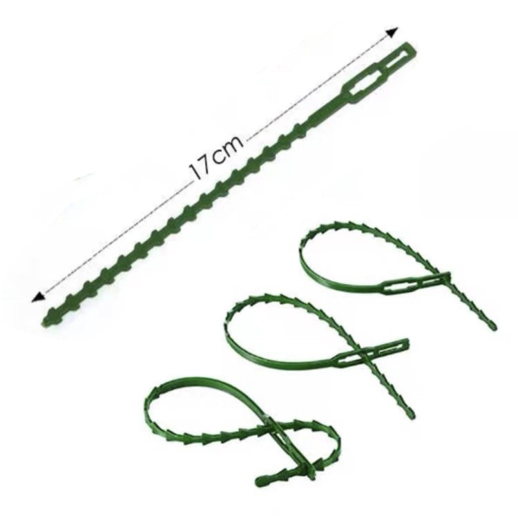 420b24461de1844fa52146e24c11cd6c