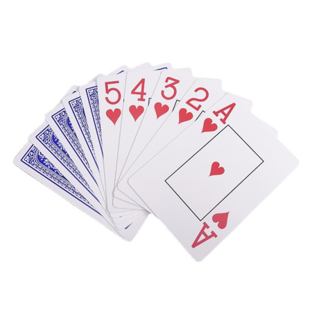 d7097adf6244918c2ebadcd317c457ed