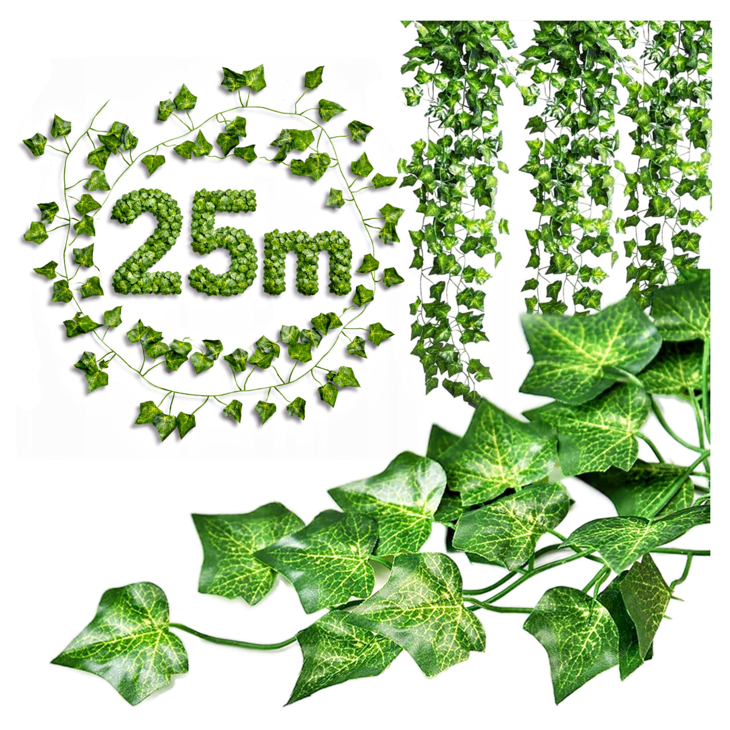 Bluszcz 25m miniatura2.jpg